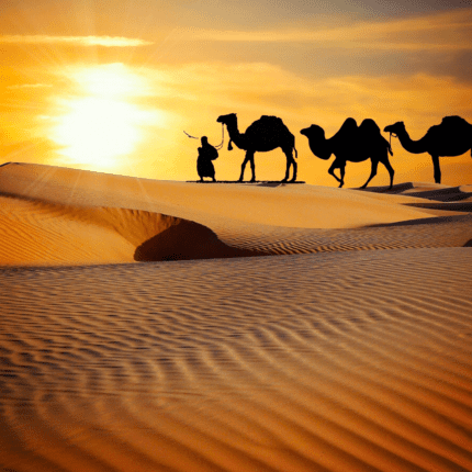 Sand Dunes Tour Packages