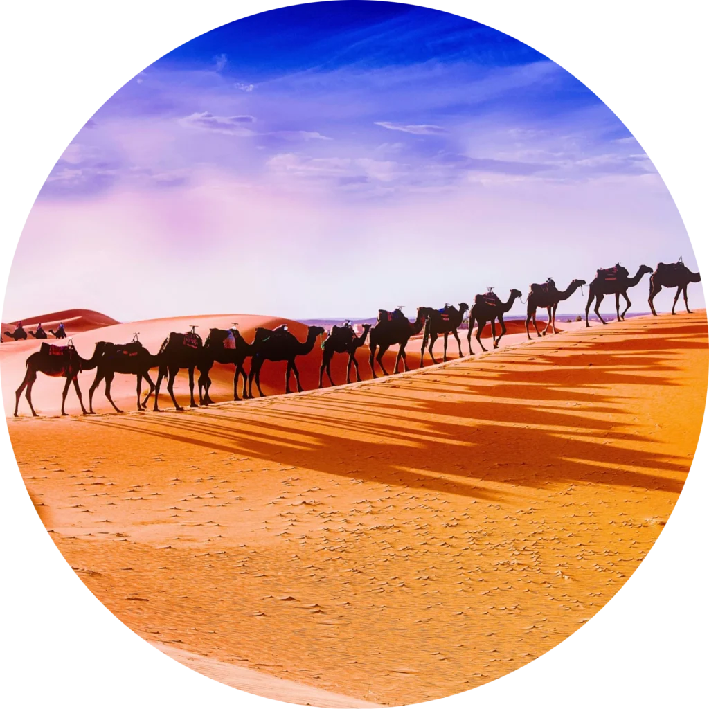 Desert Safari Tours