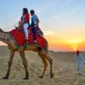 Camel Safari Jaisalmer 85x85