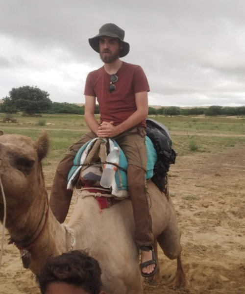 camel Ride pakages